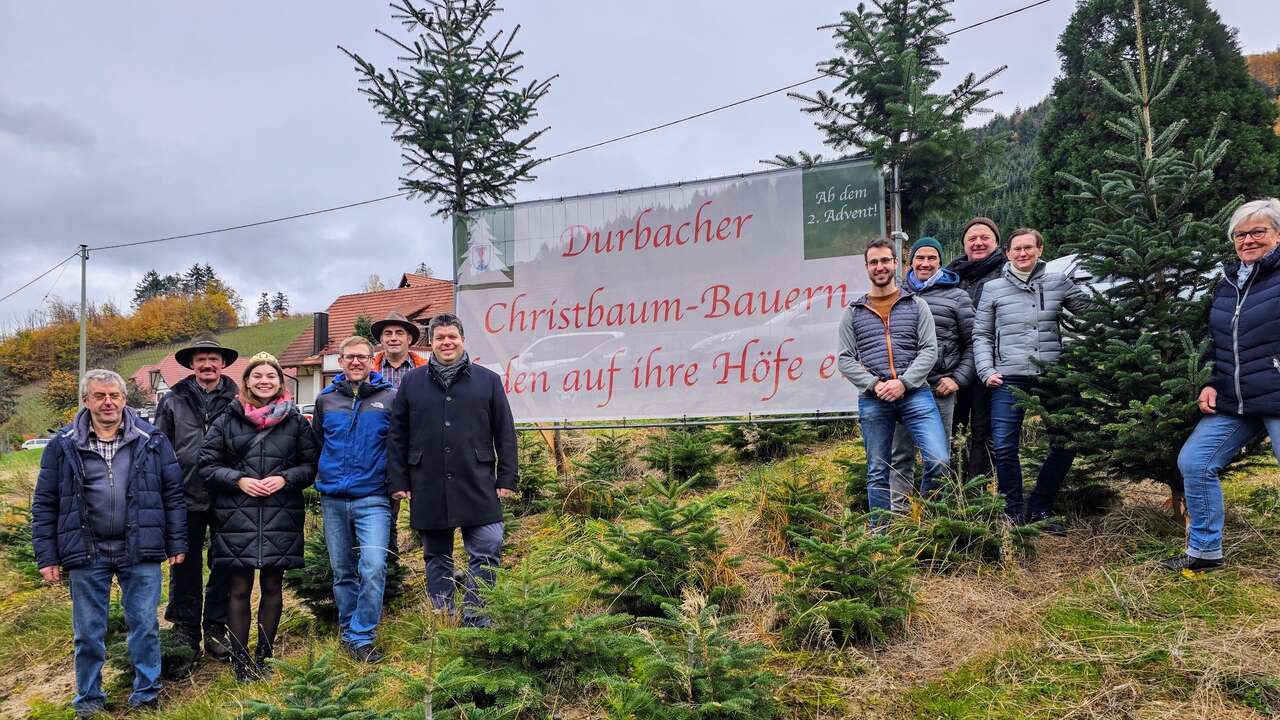 Saison für Weihnachtsbaum-Verkauf gestartet